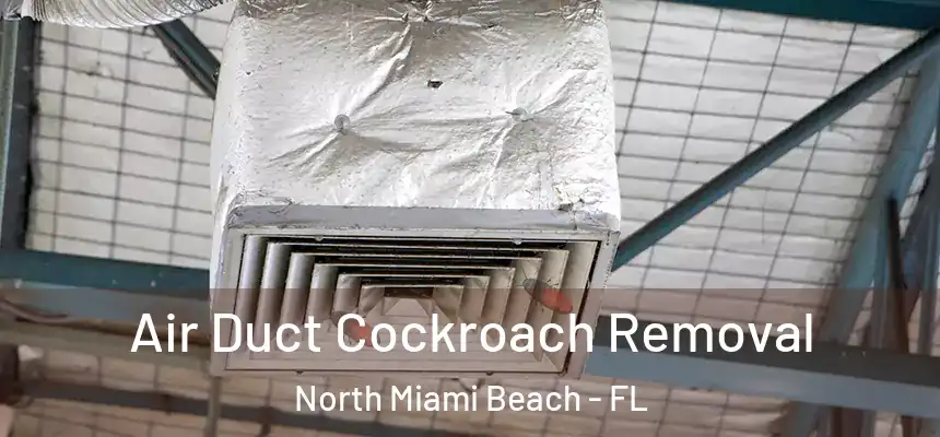 Air Duct Cockroach Removal North Miami Beach - FL
