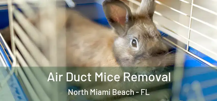 Air Duct Mice Removal North Miami Beach - FL