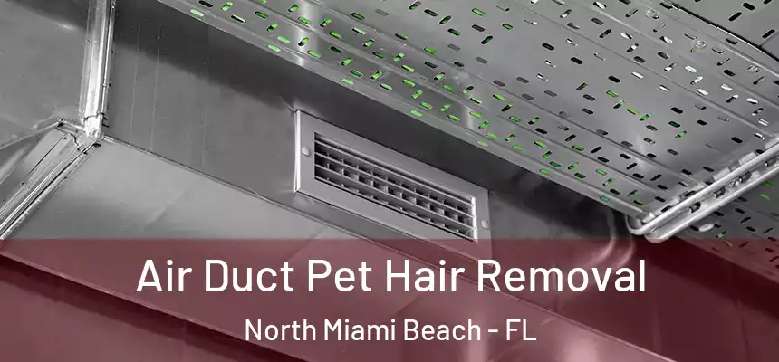 Air Duct Pet Hair Removal North Miami Beach - FL