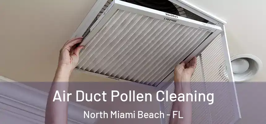 Air Duct Pollen Cleaning North Miami Beach - FL