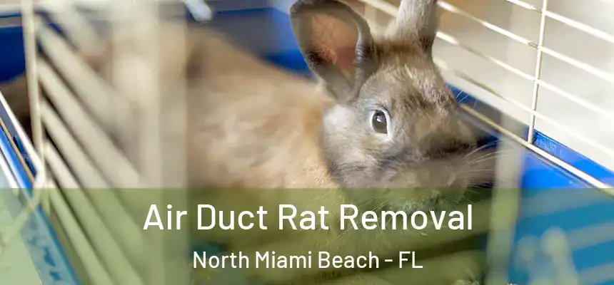 Air Duct Rat Removal North Miami Beach - FL