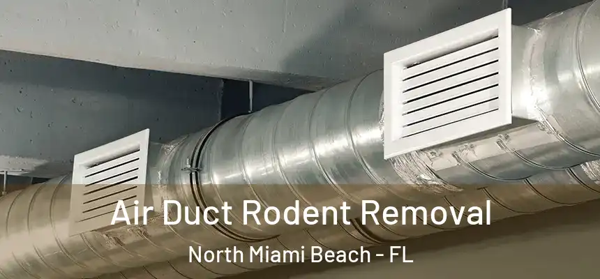 Air Duct Rodent Removal North Miami Beach - FL