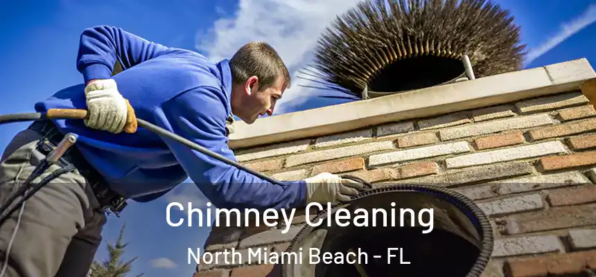 Chimney Cleaning North Miami Beach - FL
