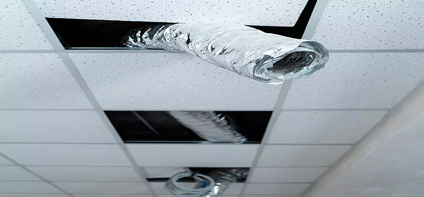 Affordable HVAC Sanitizing After Pest Removal in North Miami Beach