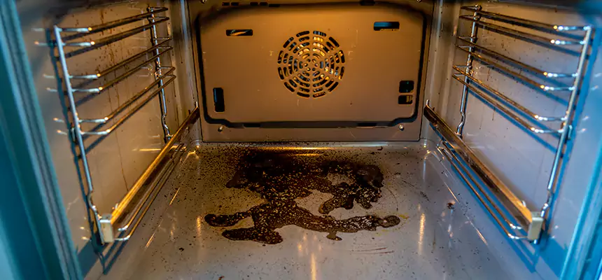 Our Dryer Vent Mold Cleaning Services in North Miami Beach, FL