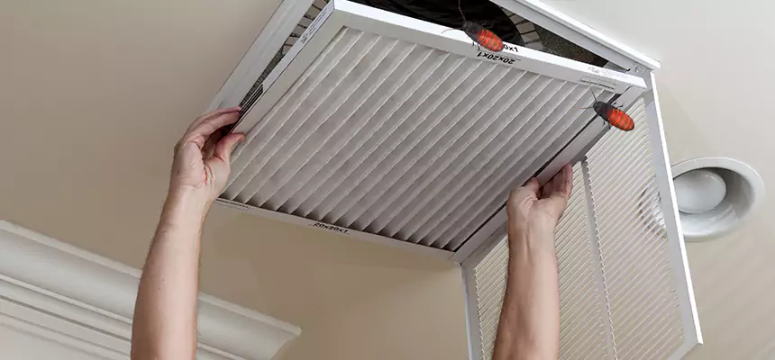 Our Insect Removal from Air Ducts Services in North Miami Beach, FL