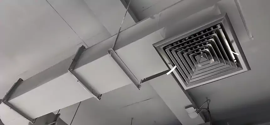 Our Pest Removal From Ducts Services in North Miami Beach, FL