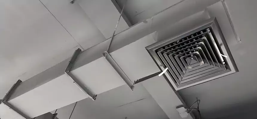 Our Rodent Droppings In Vents Services in North Miami Beach, FL