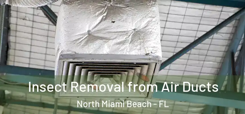 Insect Removal from Air Ducts North Miami Beach - FL