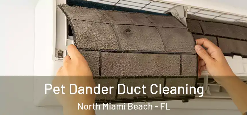 Pet Dander Duct Cleaning North Miami Beach - FL