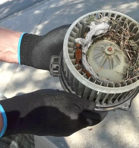 About Air Duct Mice Removal in North Miami Beach, FL