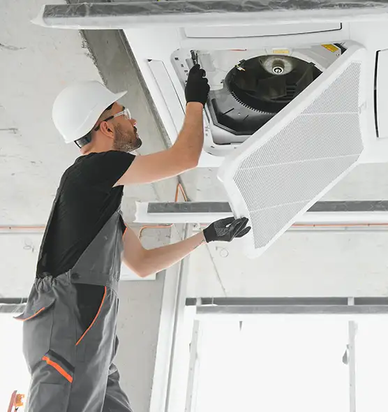 About Air Duct Rodent Removal in North Miami Beach, FL