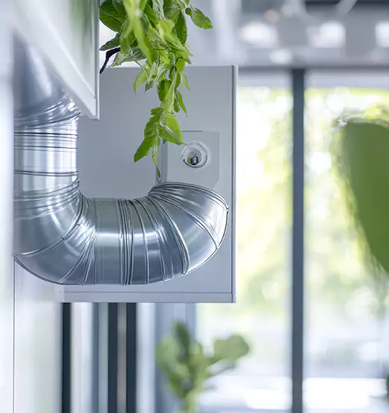 Professional Eco-Friendly Duct Cleaning Services in North Miami Beach, FL