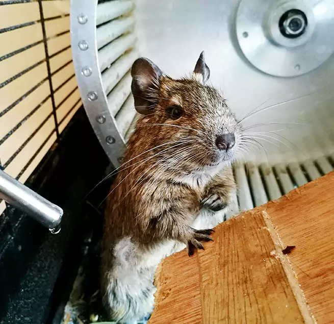 Why Homeowners & Businesses Trust Us North Miami Beach, FL?