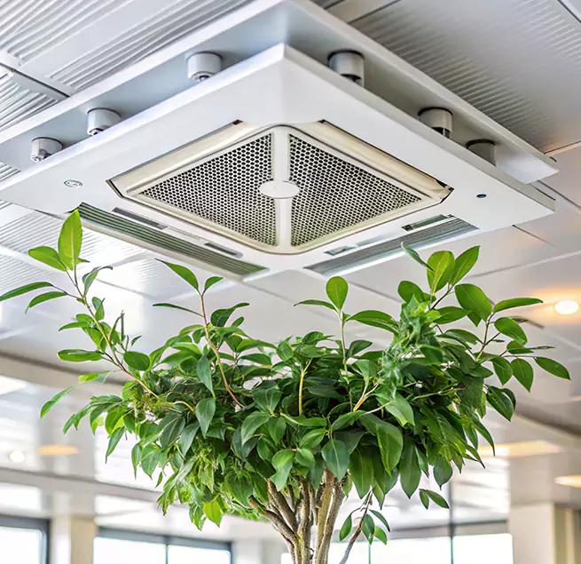 Why Homeowners & Businesses Trust Us in North Miami Beach, FL