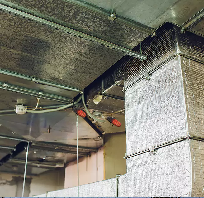 Why Homeowners & Businesses Trust Us North Miami Beach, FL?