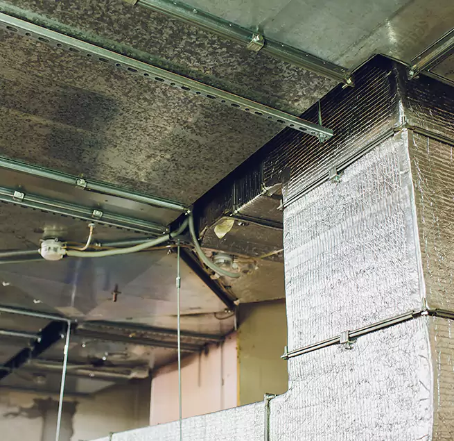 Why Homeowners & Businesses Trust Us in North Miami Beach, FL?